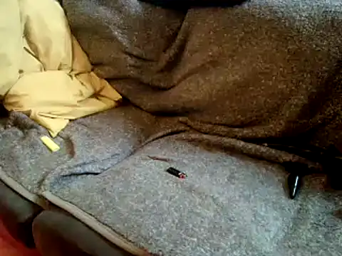 Snapshot of Truganini1 chatting on December 22, 2024, 8:27 am Truganini1 online show from December 22, 2024, 8:27 am