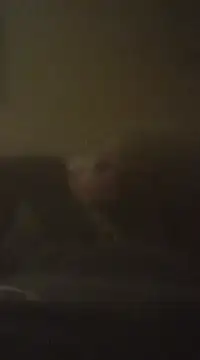 Snapshot of Biknight chatting on December 9, 2024, 5:07 am Biknight online show from December 9, 2024, 5:07 am