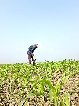 ThethunderPo online show from February 6, 2026, 4:39 am