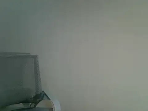 Snapshot of DitaVira chatting on December 11, 2024, 8:28 pm DitaVira online show from December 11, 2024, 8:28 pm