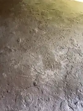 Bengali BULL1 online show from October 31, 2025, 9:32 am