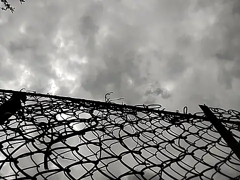 sarpe4 online show from April 25, 2026, 11:24 am