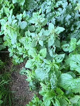 curcuro online show from February 27, 2026, 4:07 pm