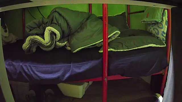 Walltaz online show from March 24, 2026, 5:01 am