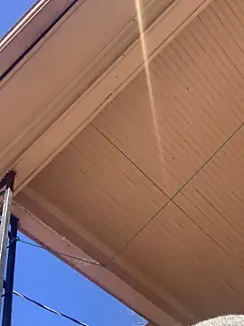 Snapshot of Tristris100 chatting on February 24, 2025, 8:03 pm Tristris100 online show from February 24, 2025, 8:03 pm