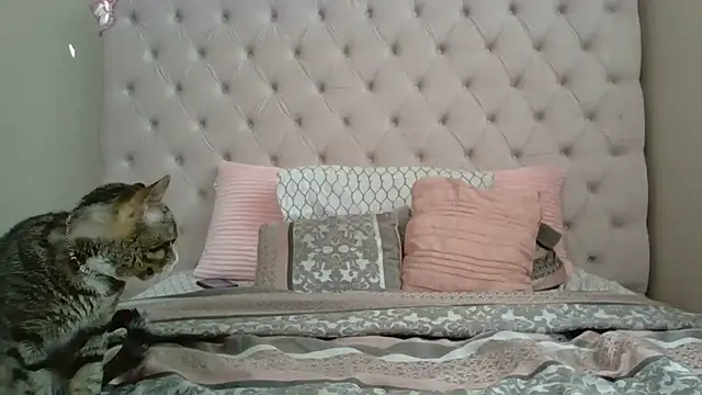 Snapshot of beautylovess chatting on December 21, 2025, 2:35 pm beautylovess online show from December 21, 2025, 2:35 pm