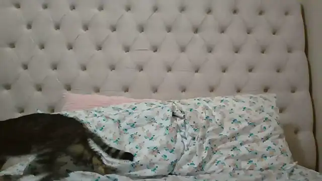 Snapshot of beautylovess chatting on February 5, 2026, 11:42 pm beautylovess online show from February 5, 2026, 11:42 pm