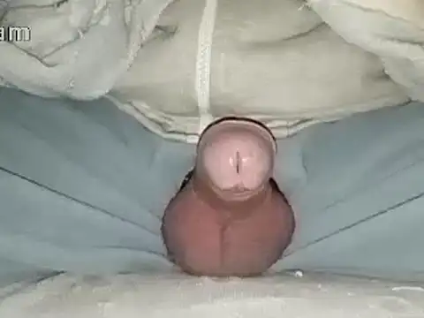 Snapshot of Bigdick666cm chatting on January 31, 2025, 6:47 pm Bigdick666cm online show from January 31, 2025, 6:47 pm