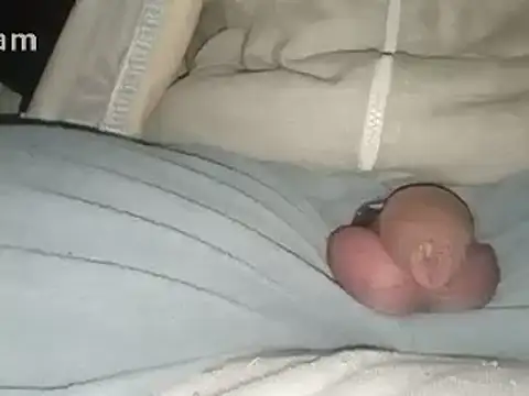 Snapshot of Bigdick666cm chatting on February 2, 2025, 3:43 am Bigdick666cm online show from February 2, 2025, 3:43 am