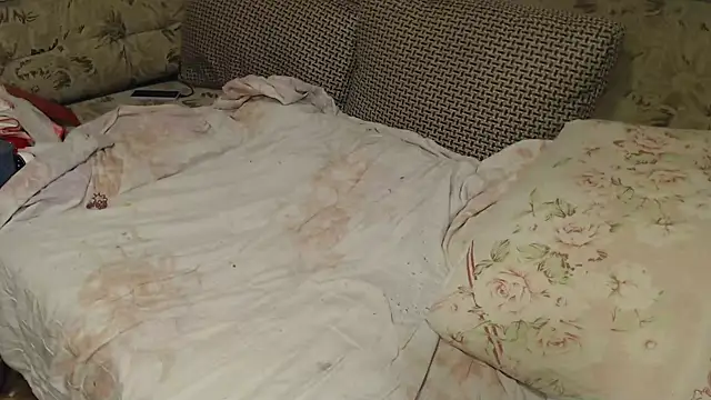 FancyLily online show from September 13, 2025, 8:14 am