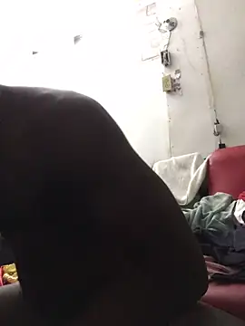 livepro online show from December 10, 2024, 10:58 pm