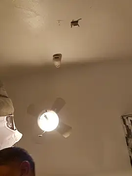 tropikboy online show from January 12, 2026, 9:36 am