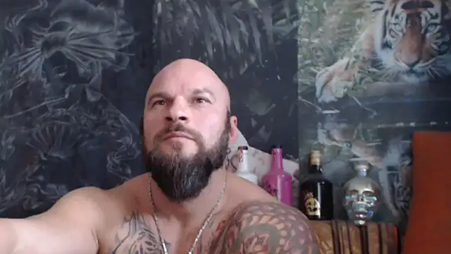 Snapshot of viking_30 chatting on November 4, 2025, 7:51 am viking 30 online show from November 4, 2025, 7:51 am