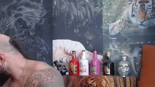 Snapshot of viking_30 chatting on November 5, 2025, 8:03 am viking 30 online show from November 5, 2025, 8:03 am