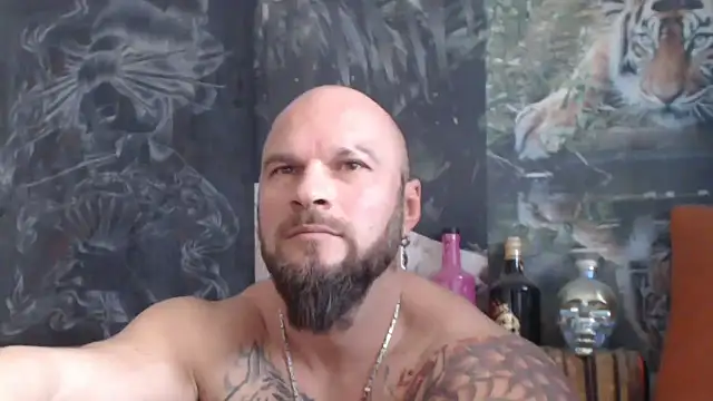 Snapshot of viking_30 chatting on November 6, 2025, 8:15 am viking 30 online show from November 6, 2025, 8:15 am