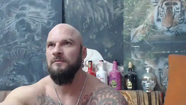 Snapshot of viking_30 chatting on November 17, 2025, 7:41 pm viking 30 online show from November 17, 2025, 7:41 pm