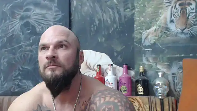 Snapshot of viking_30 chatting on November 22, 2025, 6:51 pm viking 30 online show from November 22, 2025, 6:51 pm