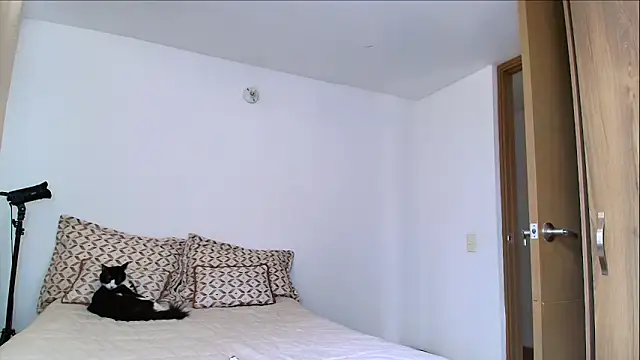 SARA TS FOX online show from February 11, 2026, 5:18 pm