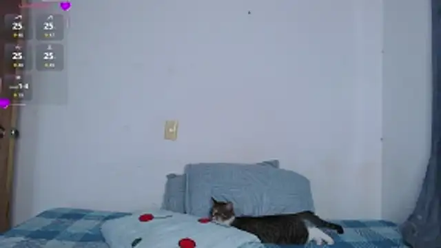 Snapshot of valen_thompson chatting on March 1, 2026, 11:07 pm valen thompson online show from March 1, 2026, 11:07 pm