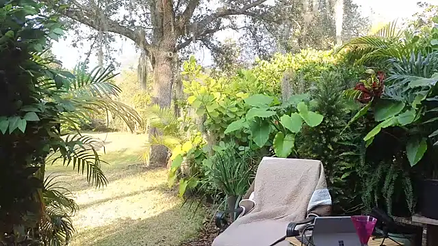 eliberator1777 online show from January 31, 2025, 9:37 pm