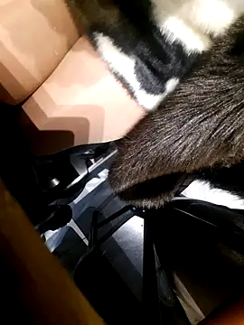 Dirtyfeelin online show from November 18, 2025, 2:43 pm