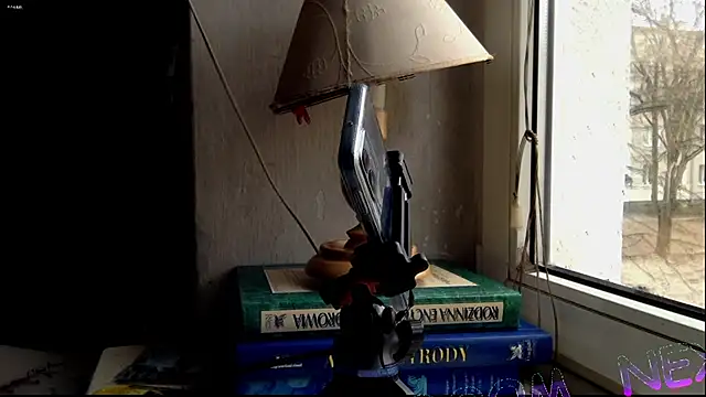 Snapshot of FireFox_Feel chatting on December 6, 2024, 10:38 am FireFox Feel online show from December 6, 2024, 10:38 am