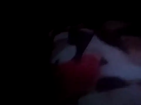 Snapshot of PrinceNoAlbert chatting on December 15, 2024, 1:02 am PrinceNoAlbert online show from December 15, 2024, 1:02 am