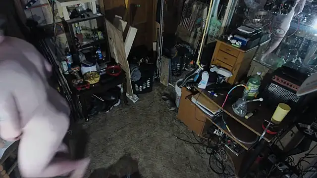 Snapshot of sex4fun_21 chatting on March 12, 2025, 4:41 am sex4fun 21 online show from March 12, 2025, 4:41 am