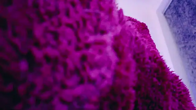 FemDom RubyKnightXXO online show from March 18, 2025, 8:37 pm