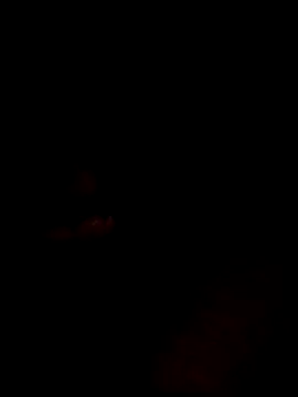 websterribeiro online show from March 11, 2026, 3:45 am