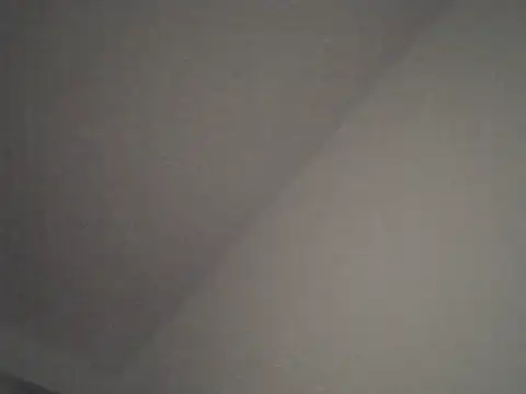 FallenDevil online show from November 23, 2025, 8:08 pm