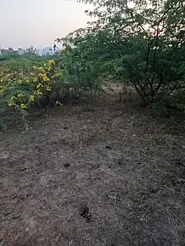 rameshmry1 online show from March 5, 2026, 12:34 pm