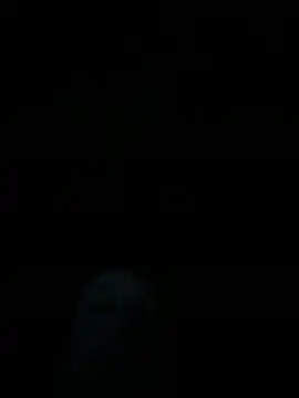 Snapshot of dropmoney chatting on December 1, 2025, 5:01 am dropmoney online show from December 1, 2025, 5:01 am