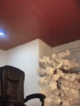 Ambar pe  online show from November 10, 2025, 10:36 am