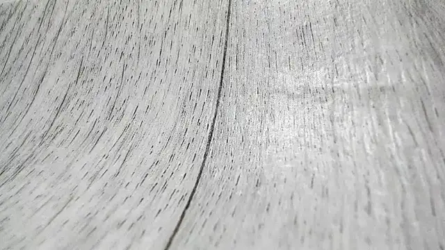 Snapshot of LittleSonya chatting on December 15, 2025, 4:55 pm LittleSonya online show from December 15, 2025, 4:55 pm