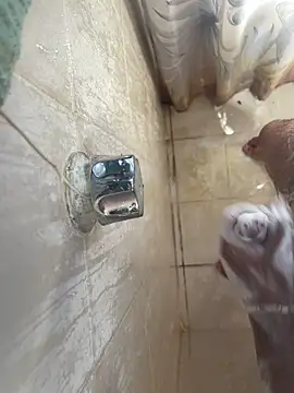 MisaelR10 online show from September 23, 2025, 9:29 pm