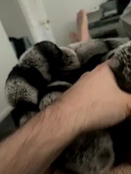 Furdale online show from December 3, 2024, 11:33 am