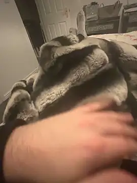 Furdale online show from December 7, 2024, 9:33 pm