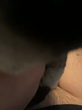 Furdale online show from December 16, 2024, 1:11 pm