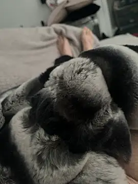 Furdale online show from December 24, 2024, 11:17 am