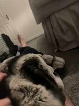 Furdale online show from January 6, 2025, 4:55 pm