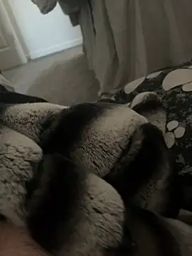 Furdale online show from January 9, 2025, 11:14 am