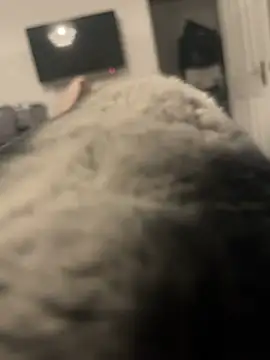 Furdale online show from January 13, 2025, 4:08 pm