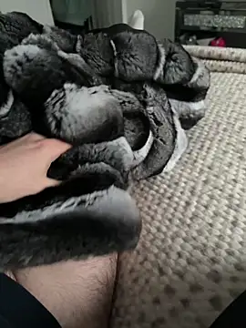 Furdale online show from February 9, 2026, 3:38 pm