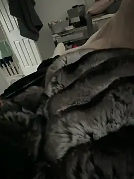 Furdale online show from March 9, 2026, 3:16 pm