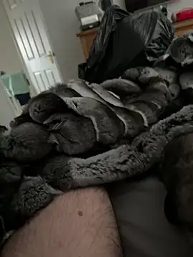 Furdale online show from March 23, 2026, 2:43 pm