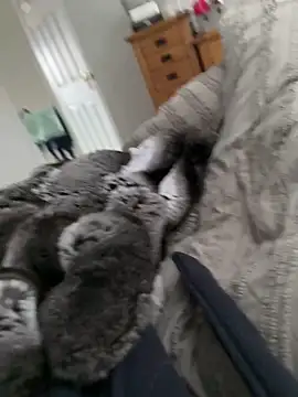 Furdale online show from March 30, 2026, 9:54 am