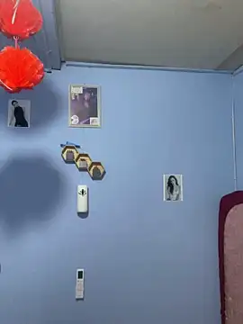 Sanieku online show from March 24, 2026, 2:55 pm