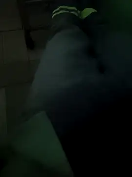 N-lS online show from March 25, 2026, 6:14 pm