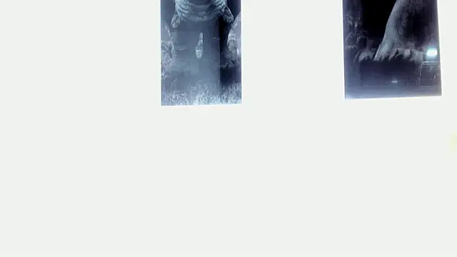 AlexRivera6 online show from March 17, 2025, 11:43 pm